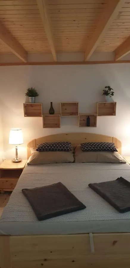 Lara Downtown Apartment Budapest 0*,